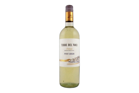 Mezzacorona Terre del Noce Pinot Grigio